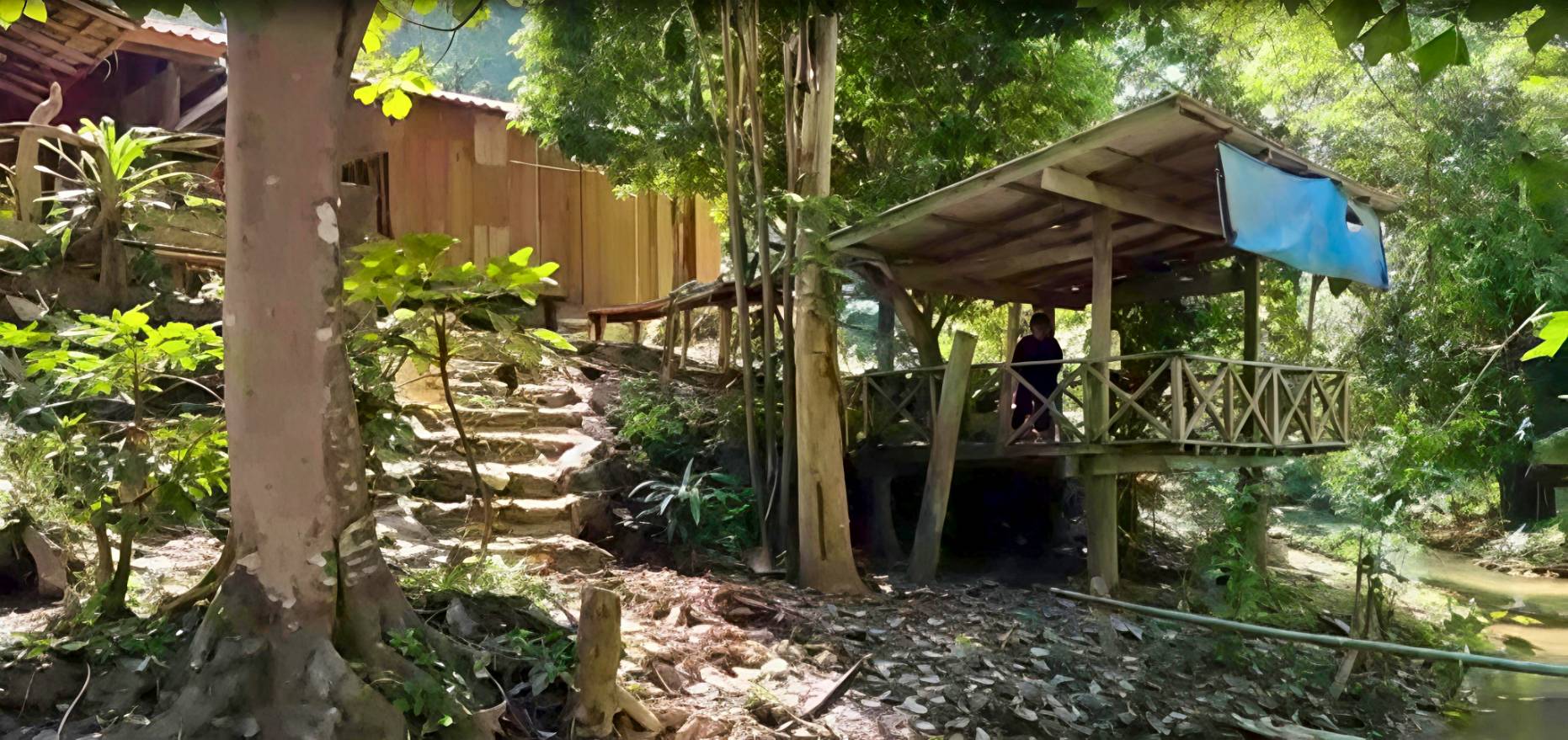 ขายที่ดินพร้อมบ้านไม้ ท่ามกลางธรรมชาติ รอยต่อ 3 จังหวัด (ลำปาง–เชียงราย–พะเยา)