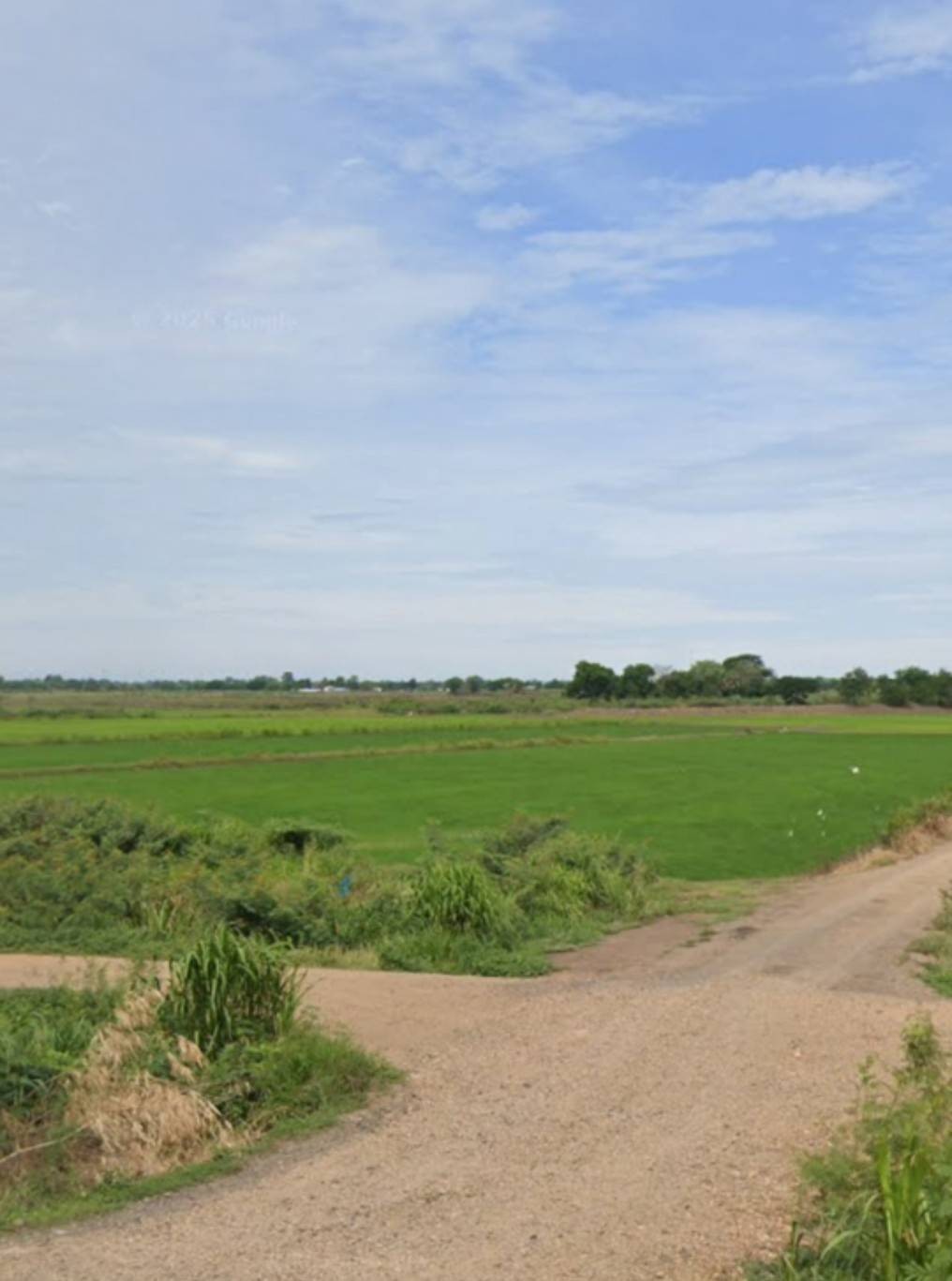 Vาย ที่ดิน 24 ไร่ จ. พระนครศรีอยุธยา ไร่ละ 300000 บ. ต. บ้านขวาง ต. น้ำเต้า อ. มหาราช (ใกล้ แยกเจ้าปลุก ถ.ทางหลวง 3267 อ่างทอง - ท่าเรือ)
