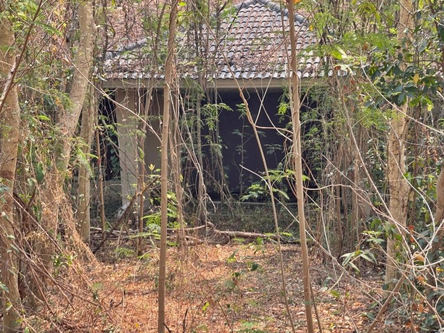 ขายบ้านเดี่ยว โครงการเลคแลนด์ บ่อสร้าง ถนนบ่อสร้าง-ดอยสะเก็ด เชียงใหม่