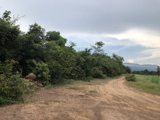 แปลงนี้ซื้อผ่อนเจ้าของได้ ขายที่ดินสวยติดภูเขา เทือกเขายาวเรียงแนว ดินดีสมบูรณ์ทรัพย์ในดิน ฟ้าใสวิวหลักล้าน ต.นาจาน อ.สีชมพู จ.ขอนแก่น