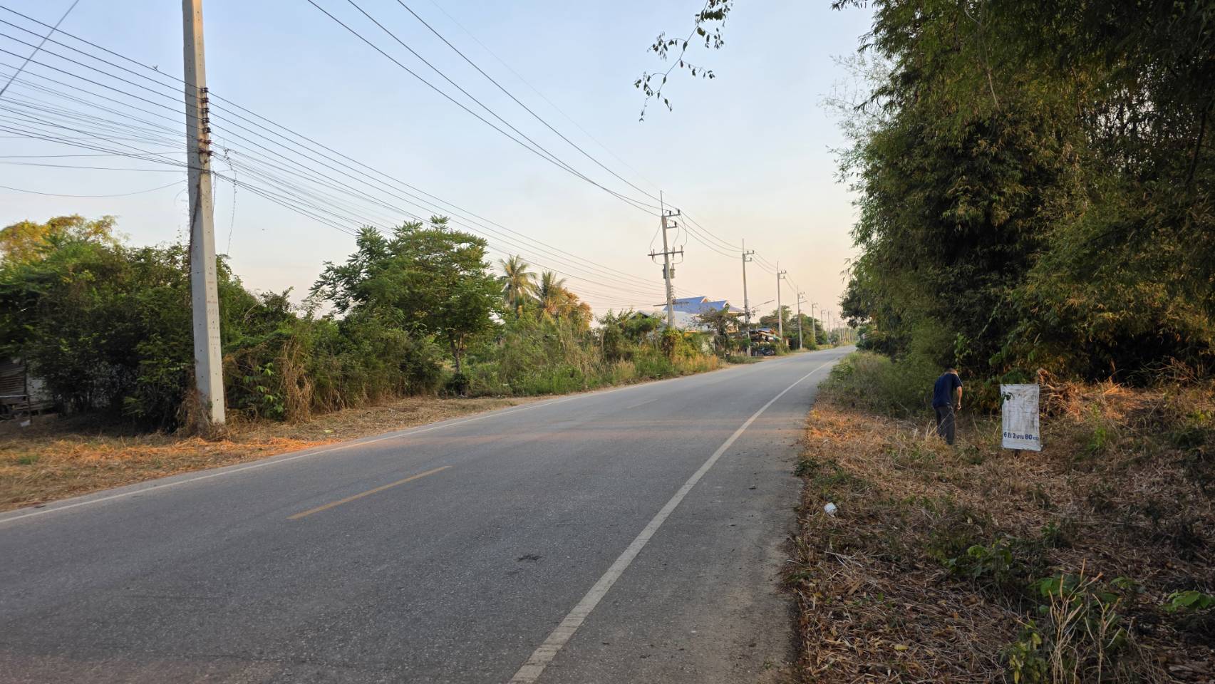 ขายที่ดิน 6 ไร่ 2 งาน 80 ตร.วา มีโฉนด ติดถนนลาดยางมะตอย อ.วังทอง จ.พิษณุโลก