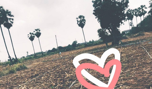 พรีเซ้นทรัพย์ทำเลทองใกล้สิ้นปี ขายที่สวยติดแม่น้ำน่าน ชุมแสง  จ.นครสวรรค์ 300000 บาท.วิวแม่น้ำเกษตรดีงามสวยสมบูรณ์