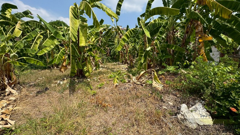 ขายที่ดินแปลงมุม 130 ตรว ติดถนน 2 ด้าน ประชาชื่น 28 ทำเลทองใกล้รถไฟฟ้า 2 สาย เข้าออกได้ 2 ทาง