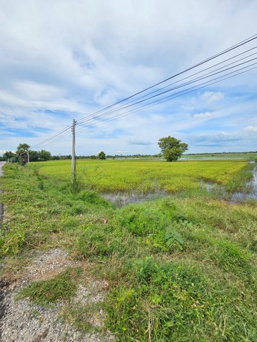 ขายท่ดินขนาดเนื้อที่ 4 ไร่ 2 งาน 80 ตารางวา ตำบลคันธารราษฎร์ อำเภอกันทรวิชัย มหาสารคาม