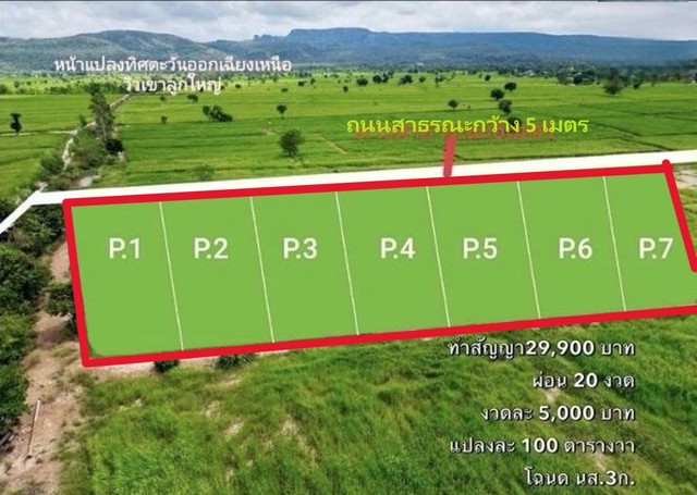 ขายที่ดินแบ่งแปลงละ 100ตรว. 99000บ. ฟรีโอน ผ่อนตรงได้ วิวดอย ใกล้ อบต.ดงมะรุม 1 กม. ต.นิยมชัย อ.สระโบสถ์ ลพบุรี