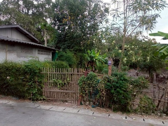 ที่ดิน ทำเลดี เดินทางสะดวก ใกล้ถนนหลัก บ้านแหวน หางดง
