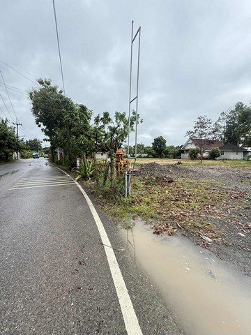 ขายที่ดิน 55ตรว. 790000บ. ถนน น้ำ ไฟฟ้า ใกล้ตลาดป่าเหมือด ซอยบ้านแม่ดู บ้านทุ่งยาว ต.สันทรายหลวง อ.สันทราย เชียงใหม่