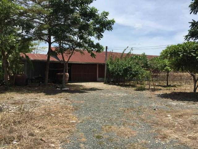 ขายที่ดินเมืองเพชรบูรณ์ ที่ดินทำเลดีเมืองเพชรบุณ์ ที่ดินติดถนน  ต.วังชมพู อ.เมืองจ.เพชรบุรณ์