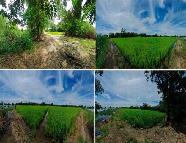 ขาย โกดัง อำเภอลาดบัวหลวง พระนครศรีอยุธยา  ห่างจาก สวนน้ำนิวตุ๊ก 3.3  km.