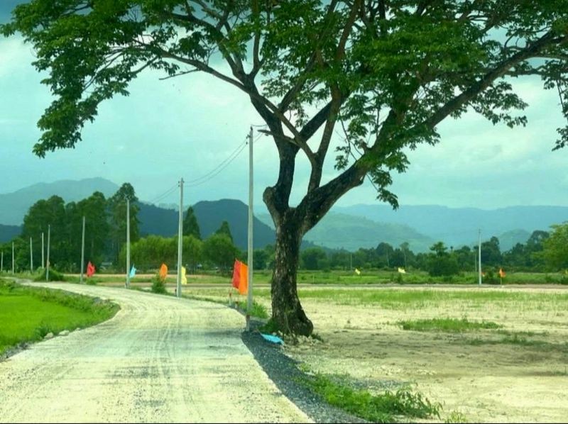 ขายที่สวยวิวเขา ใกล้ รร.นายร้อยจปร. 200 ตรว. ต.พรหมณี อ.เมืองนครนายก มี 2 แปลงติดกันซื้อแปลงเดียวหรือทั้งสองก็ได้