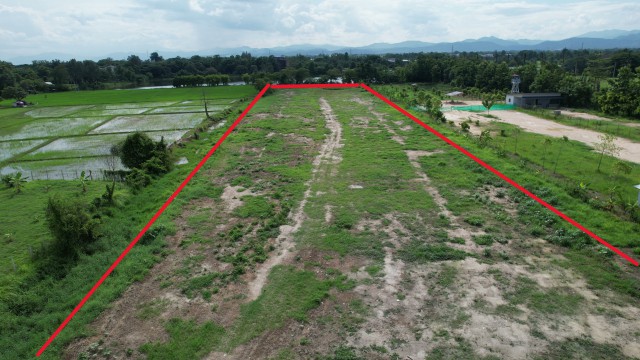 ขายที่ดินยกแปลง 8-2-31 ไร่ บ้านแหวน–หางดง ใกล้โรงเรียนนานาชาติลานนา เหมาะพัฒนาโครงการ
