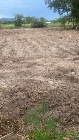 ขายที่ดิน 2 แปลง 23-3-36 ไร่ ต.ทุ่งหลวง  อ.ปากท่อ  จ.ราชบุรี