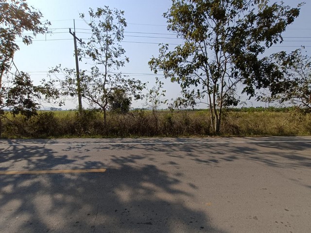 ขายที่ดินว่างเปล่า  ถนนสายบ้านหนองคล้า-บ้านหนองตะเภา  เพชรบุรี