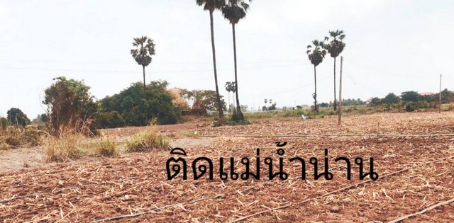 คุยง่ายขายคล่องให้ทางเลือก ขายที่สวยติดแม่น้ำน่าน ชุมแสง  จ.นครสวรรค์ 300000 บาท.วิวแม่น้ำเกษตรดีงามสวยสมบูรณ์