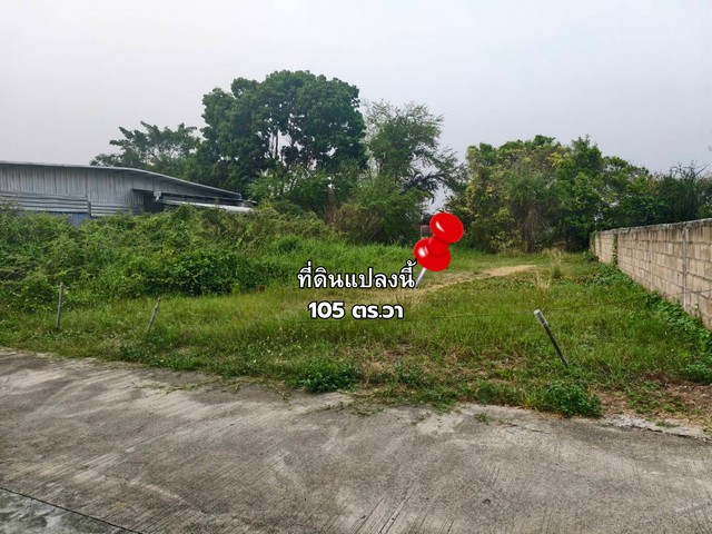 ขายที่ดินถมแล้ว 105 ตร.วา หางดง ใกล้แยกสะเมิง ทำเลดี พร้อมสร้าง