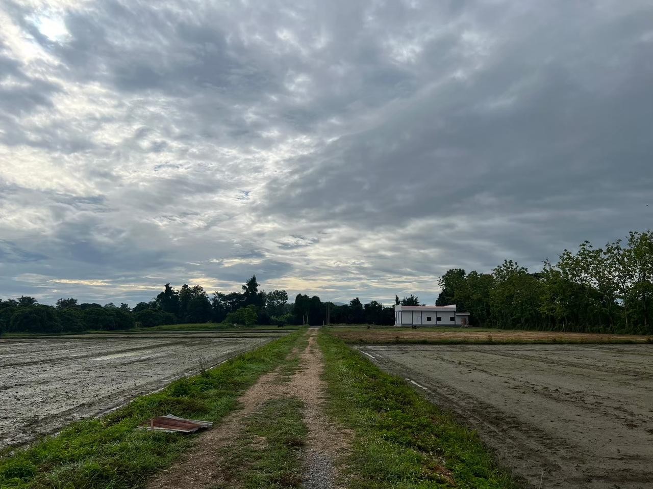 ขายที่ดิน เจ้าของขายเอง 400 ตารางวา ต.ชมภู อ.สารภี จ.เชียงใหม่