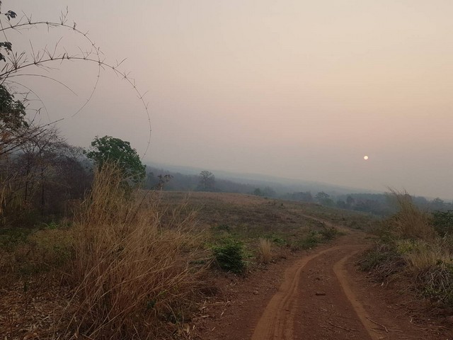 มูลค่าทวีเพิ่มพูนทรัพย์ในดิน ธรรมชาติเนินเขา ที่ดินโฉนดแบ่งขาย หล่มเก่า เพชรบูรณ์ ใกล้ภูทับเบิก โทร 0968821857