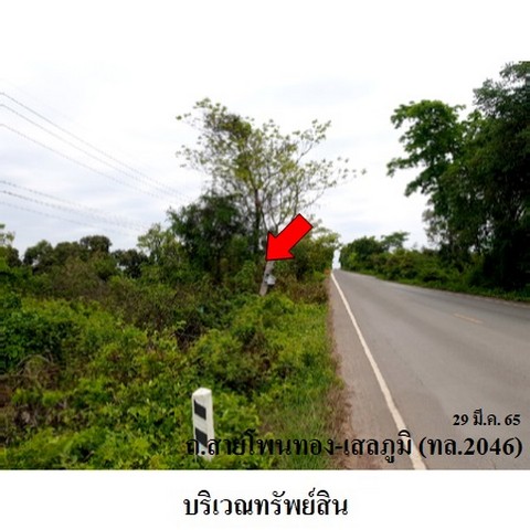 ขายที่ดินว่างเปล่า ถนน สายโพนทอง-เสลภูมิ (ทล.2046) ตำบล สระนกแก้ว อำเภอ โพนทอง จังหวัด ร้อยเอ็ด