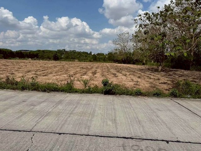 ขายที่ดินแปลงสวย ทำเลงาม โซนปลวกแดง จังหวัดระยอง FP-L01559