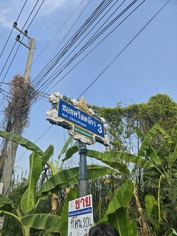 ID :  - ขาย SALE พื้นที่ดิน -  200 ตาราง-วา 0 งาน 0 Rai 23000 thb ไม่ไกลจาก โรงเรียนปทุมวิไล ศาลากลางปทุมธานี โลตัสปทุมธานี โรงพยาบาลปทุมธานี อยู่ย่านใจกลางเมืองปทุม เขตชุมชน คุ้มยิ่งกว่าคุ้ม