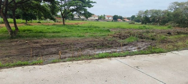 ที่ดิน ทำเลเด่น 27000 บาท/ตร.ว มี 4 แปลง พืชสวนโลก
