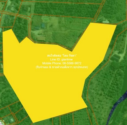 พื้นที่ดิน ขายที่ดินเปล่า หนองหญ้าปล้อง จ.เพชรบุรี (ใกล้ทางหลวง 3510 และ 1015) 32-0-76 ไร่ ราคา 17 ล้านบาท  พท. 12876 ตาราง.วา  17000000 THB   ทำเลน่าอยู่ เพชรบุรี