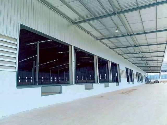 ให้เช่าโรงงานศรีราชาชลบุรี โรงงานเช่าชลบุรี ผังม่วงลาย พื้นที่  7000 14000 20000 ตารางเมตร