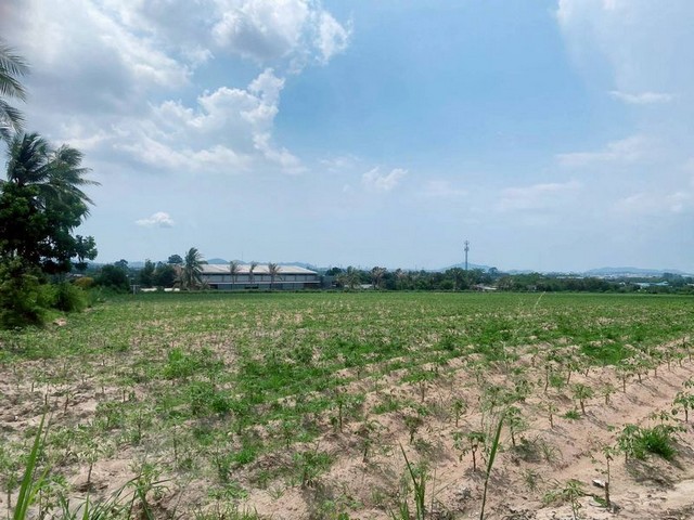 ขายที่ดินทำเลสวย ราคาดี เขตบึง ศรีราชา ชลบุรี FP-L01900