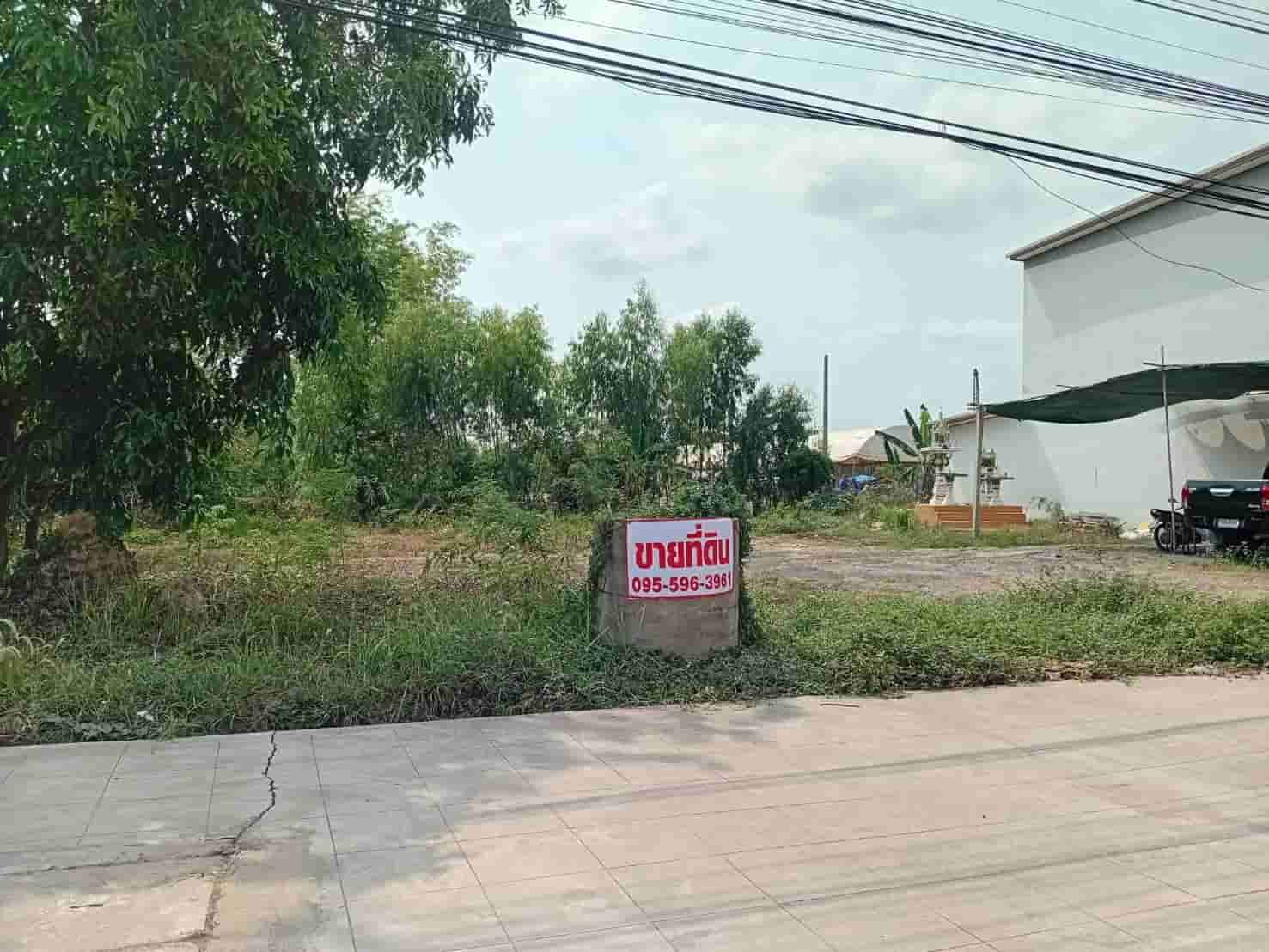 ขายถูกมาก!! ที่ดิน 3 แปลง 56 57 79 ตร.ว. ติดถนน 4 เลน ทำเลทอง อ.ไพรบึง จ.ศรีสะเกษ ใกล้ตลาด โรงพยาบาลฯ