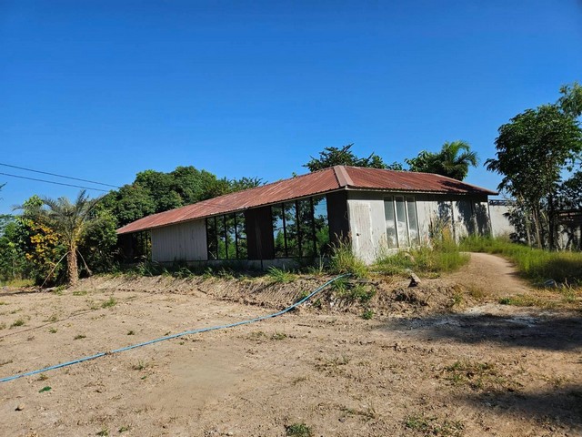 ขายที่ดินพร้อมโกดังพนัสนิคมชลบุรี พื้นที่สีเหลือง เนื้อที่ 16-0-13 ไร่  เหมาะทำโรงงาน ทำโกดังคลังสินค้า   ทำสวนเกษตร ทำบ้านพัก จัดสรร