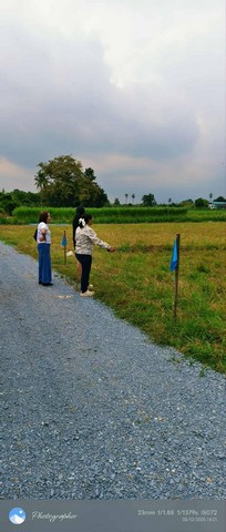 พื้นที่ดิน - ใหญ่ 100 ตร.วา 390000 BAHT ใกล้กับ องค์พระปฐมเจดีย์ สวนป่าน เซเว่น ซีเจ ราคา ดี นครปฐม