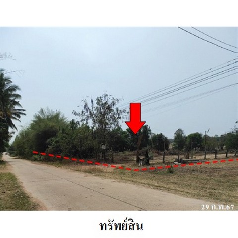 ขายที่ดินว่างเปล่า ถ.สายบ้านคาเชียงยืน-บ้านคาแคน ต.นิคม อ.สหัสขันธ์ จ.กาฬสินธุ์