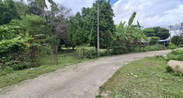 2388 ขาย ที่ดิน ที่ดินสันทราย เชียงราย    ชั้นทั้งหมด 1 ชั้น