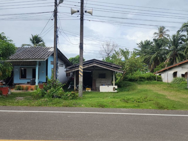 ขายบ้านเดี่ยว  ถนนสายบ้านคลองหมาก-บ้านโล๊ะใหญ่ อำเภอเกาะลันตา กระบี่