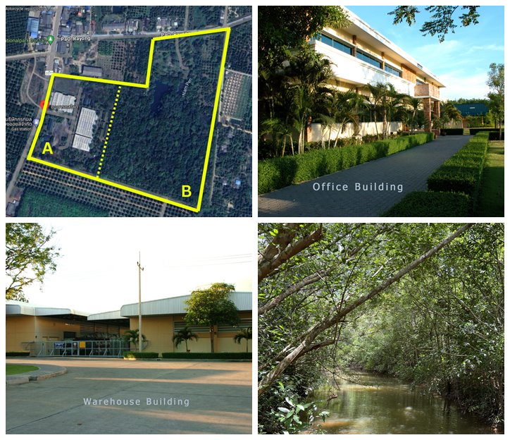 ขายโรงงาน และ สวนป่าเบญพรรณ อายุ 25 ปี อ.เขาชะเมา จ.ระยอง ราคาพิเศษ โทร 095-2601140