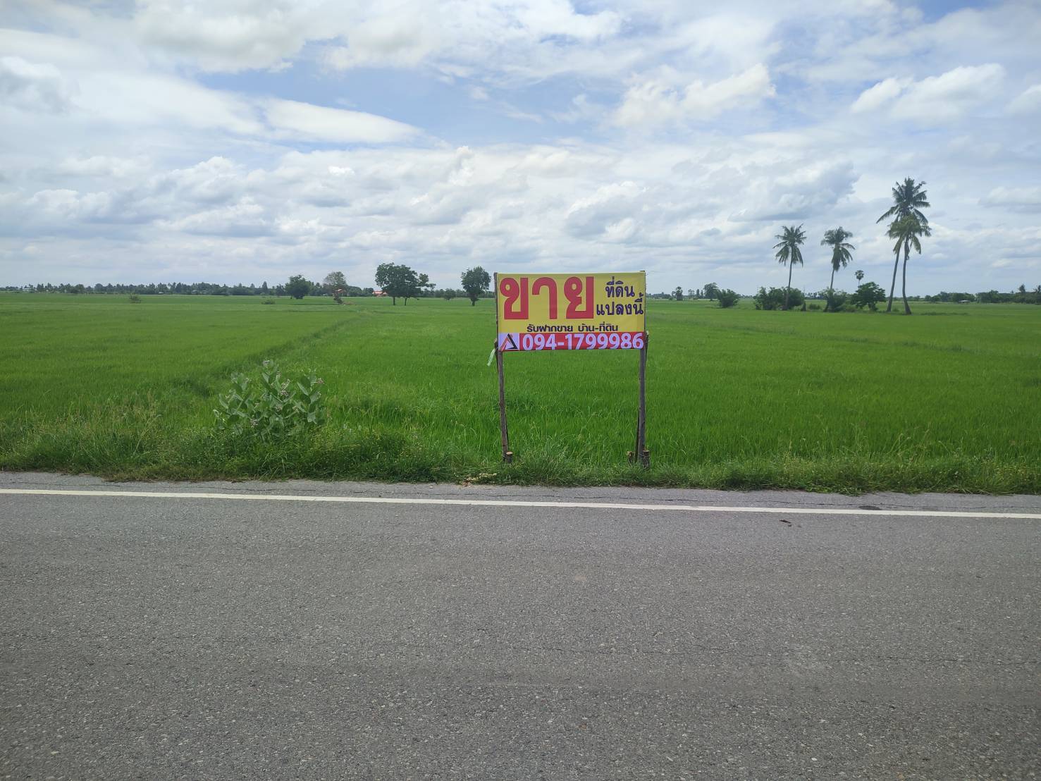 ที่ดินเปล่า 2-2-0 ไร่ ติดถนนอ่างทอง-สุพรรณบุรี อ.สามโก้ จ.อ่างทอง