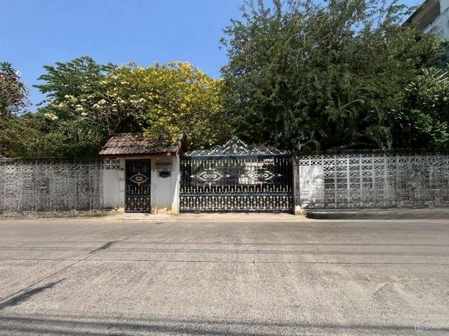 HS 1861 ขายบ้านเดี่ยว 2 ชั้น 224 ตรว. ซอยนวมินทร์95 พื้นที่กว้างขวาง ต้นไม้ร่มรื่น ใกล้แยกโพธิ์แก้ว เกษตรนวมินทร์ ลาดพร้าว เลียบด่วน