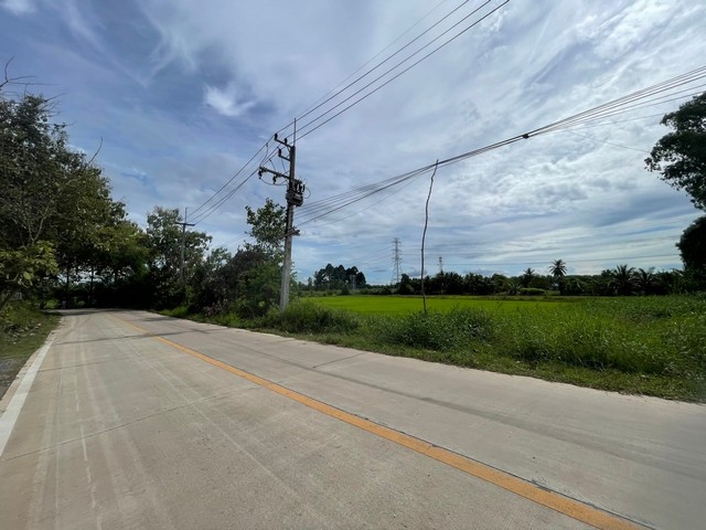 ขายที่ดินหนองใหญ่ชลบุรี ขายที่ดิน 12 ไร่ ใกล้สี่แยกเซ็นเตอร์ 500 ม.