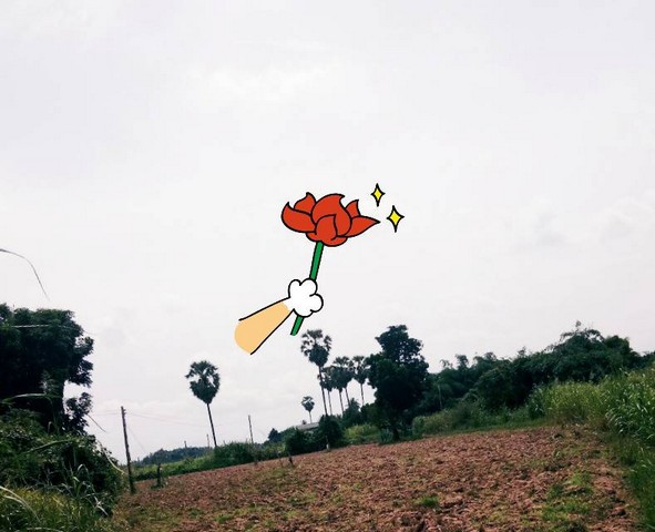 เล็งทรัพย์ดีเก็งเก็บอนาคต ขายที่สวยติดแม่น้ำน่าน ชุมแสง  จ.นครสวรรค์ 300000 บาท.วิวแม่น้ำเกษตรดีงามสวยสมบูรณ์