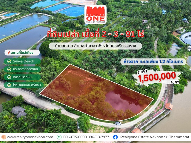 ที่ดินเปล่า ใกล้ทะเลท่าศาลา ราคาเบา ๆ เพียง 1.5 ล้าน  เนื้อที่ 2-3-91 ไร่
