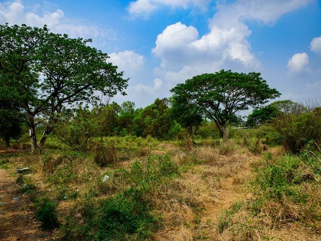 P2084 ขาย ที่ดินเปล่า 407 ตรว. ในหมู่บ้าน K C Garden Home มีนบุรี ซอยนิมิตรใหม่ 40 อากาศสิ่งแวดล้อมดี ภายในโครงการมีสาธารณูปโภคครบครัน