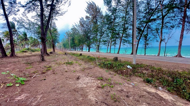 แปลงนี้ซื้อผ่อนตรงเจ้าของได้  ขายที่ดินใกล้หาดบางเบิด ติดถนนทางหลวง ใกล้หาด1 กม. +ขนาดที่ดิน 50-1-18 ไร่ โฉนดครุฑแดง พร้อมโอน ไร่ล่ะ 8 แสน