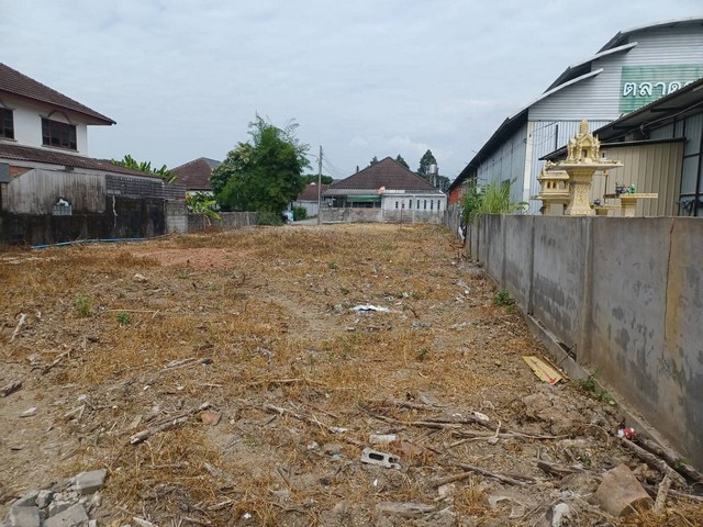 ขายที่ดิน อ.สันทราย จ.เชียงใหม่ เนือที่ 155 ตารางวา ห่างจากมหาวิทยาลัยแม่โจ้ 1 นาที