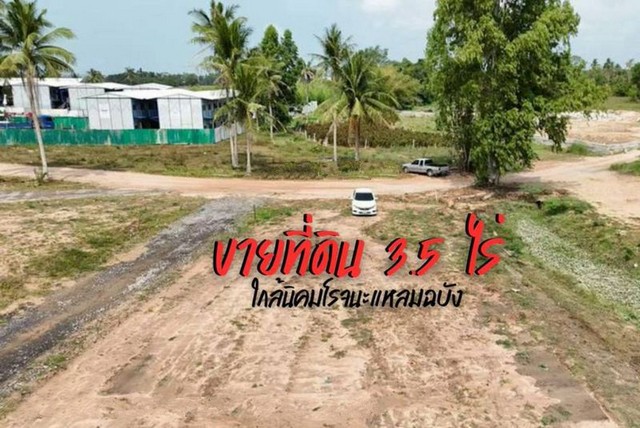 ขายที่ดินตะเคียนเตี้ย บางละมุง แปลงงาม  ใกล้ท่าเรือแหลมฉบัง 14 กม. FP-L02369