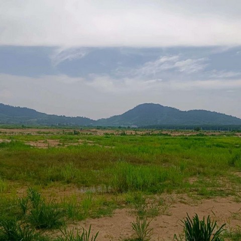 ขายที่ดินเขาซก หนองใหญ่ ชลบุรี แปลงสวย ทำเลดี เขตfree zone FP-L01834