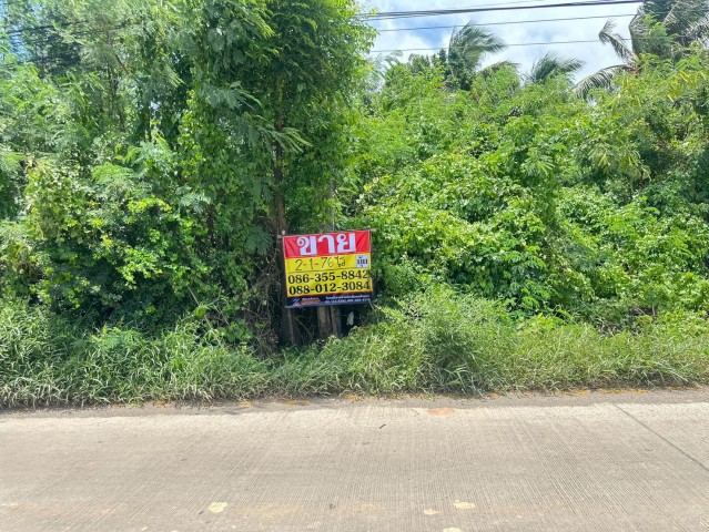 ขายที่ดิน-2-1-76-ไร่-ซอยวัดคู้เกษมสโมสร-ถนนตลาดปองพล-คลองอุดมชลจร-เมืองฉะเชิงเทรา