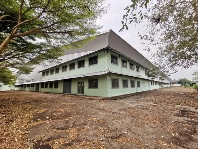 ขายโรงงาน ท่ามะกา  จังหวัด กาญจนบุรี ถนน สุขาภิบาลหวายเหนียว สาย 1