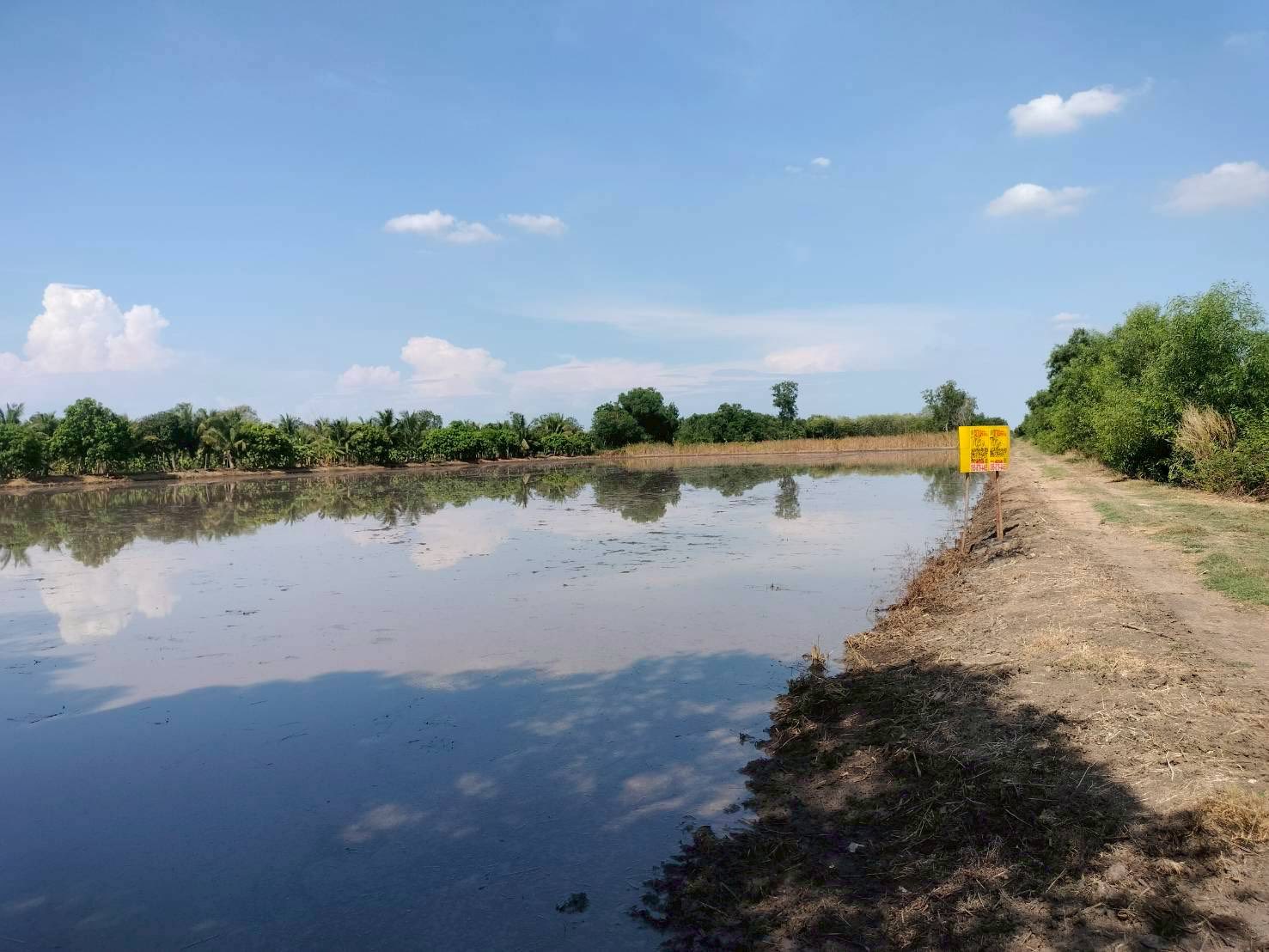 ขายด่วนที่ดิน 765 ตรว ติดถนนสาธารณะ เลียบคลองสิบสามฝั่งตะวันออก 38 หนองจอก กทม.