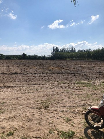 ขายที่ดินแปลงงาม ราคาถูก เขตบ้านบึง ชลบุรี ติดถนนสาธารณะ FP-L01625