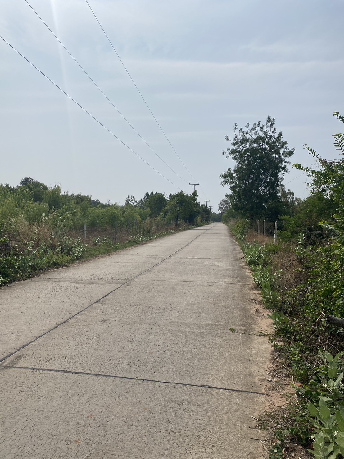 ขายที่ดินเปล่า 1งาน 48 ตร.วา หลังรพ.โนนแดง บ้านหนองมน ต.โนนแดง อ.โนนแดง จ.นครราชสีมา